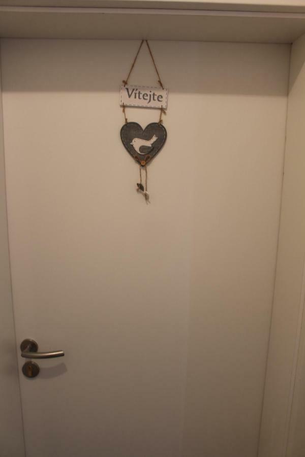 Venkovsky Apartman Apartment Stožec Екстериор снимка